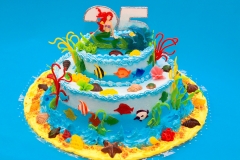 Ariel-25-FullSize