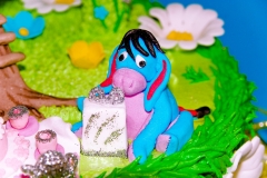 VinniPoohZoom2